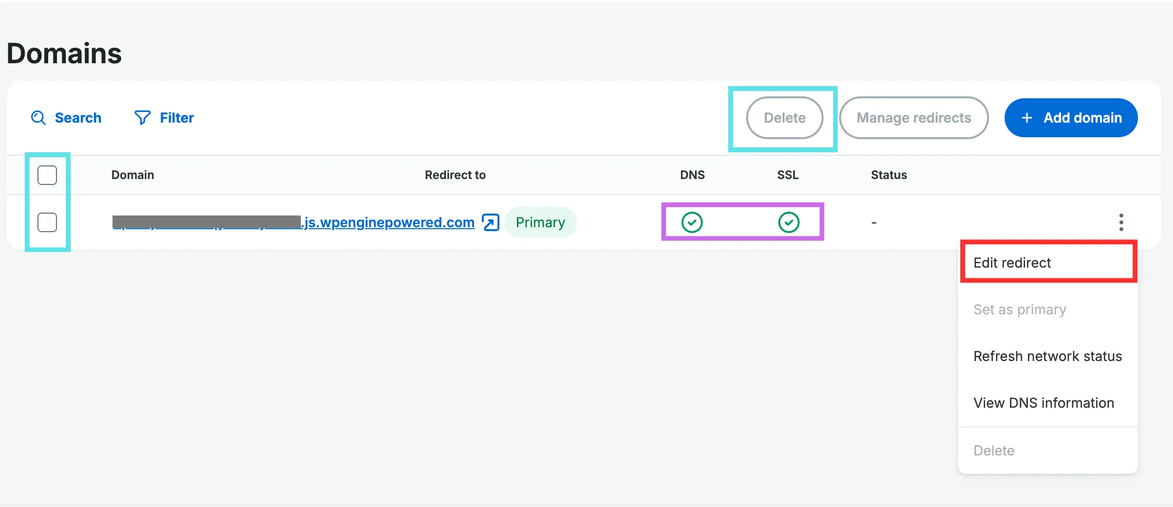 Screenshot of the redirect domain button options